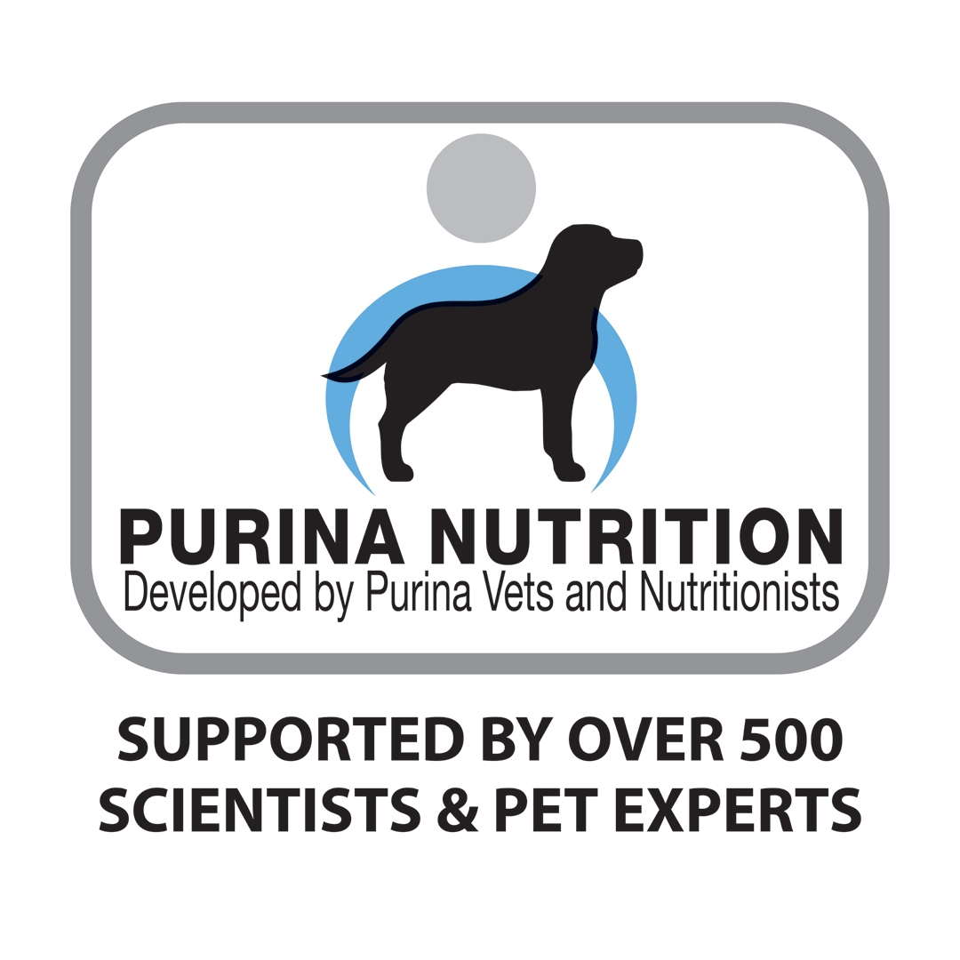 purina medium adult