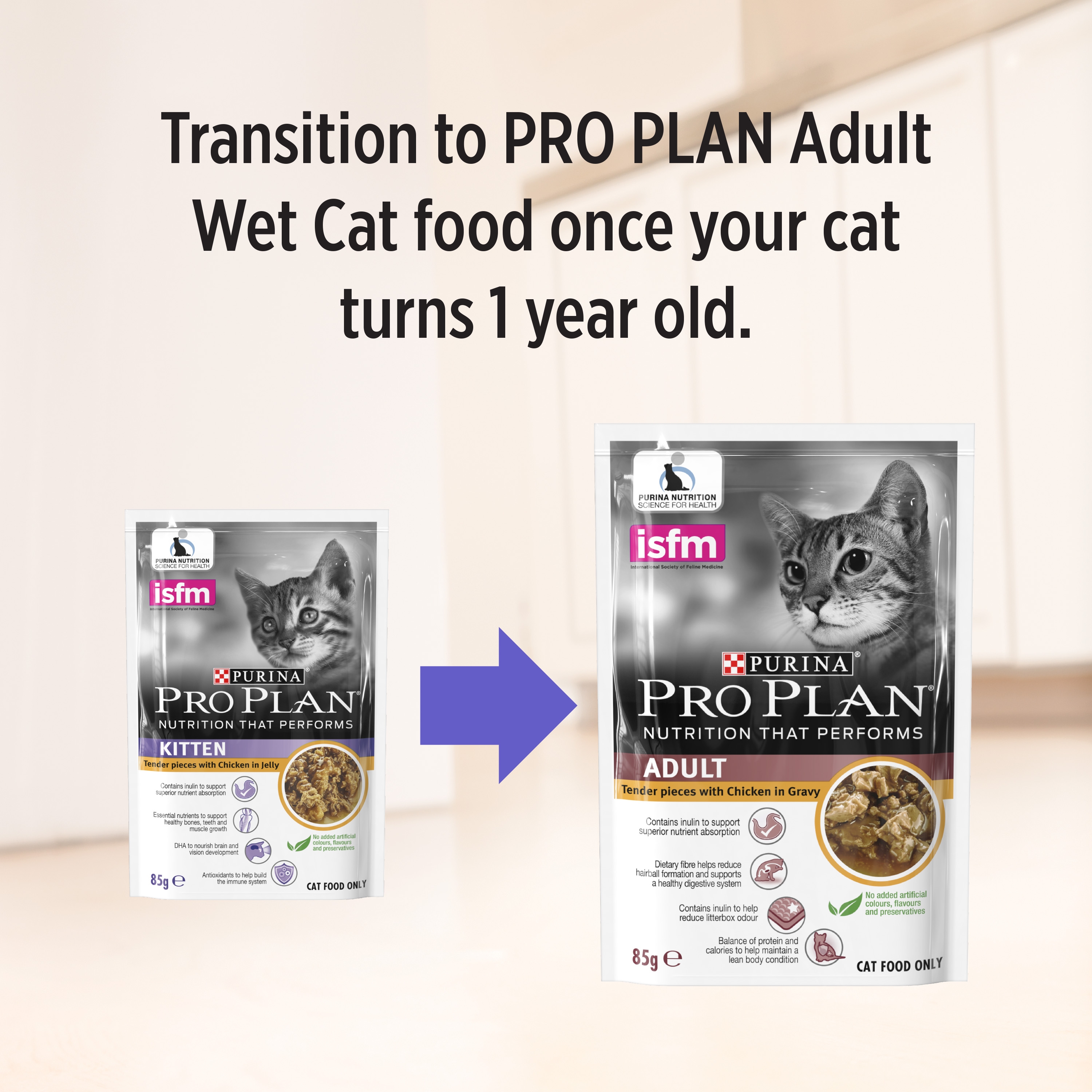 purina wet kitten food