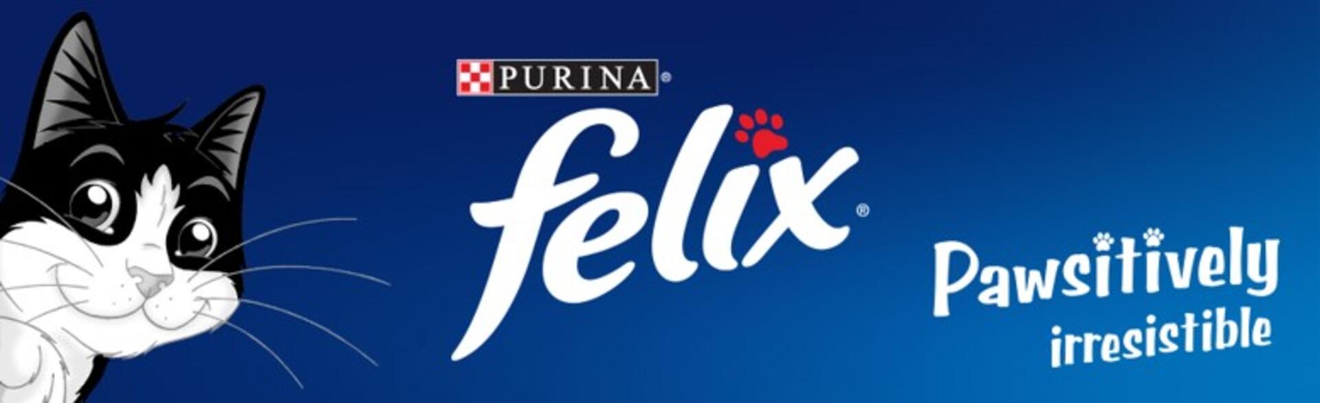 Felix banner