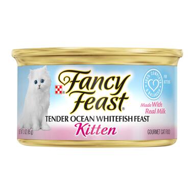 Fancy feast 2025 kitten wet food