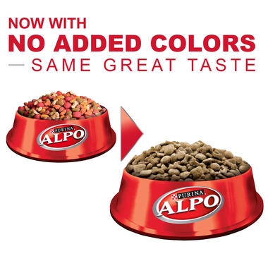 Alpo dog hot sale chow