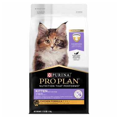 cheap cat food deals