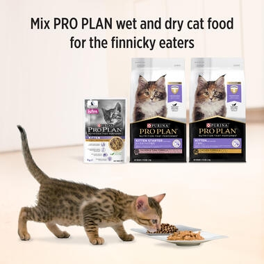 proplan kitten sterilised