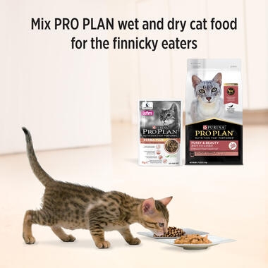 proplan derma plus kitten