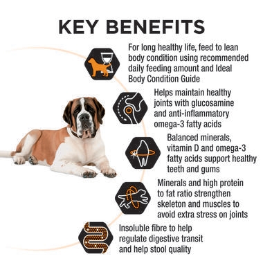 dog food with high glucosamine