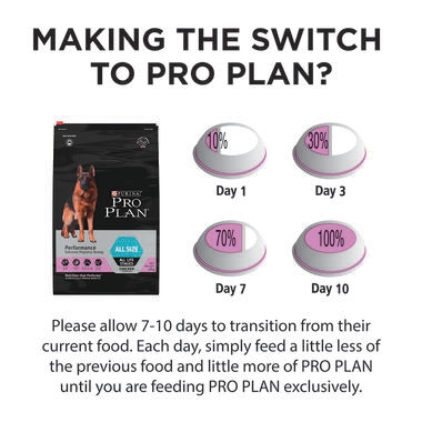 pro plan performance