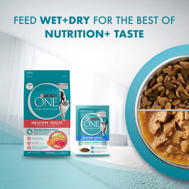 Wet Cat Healthy Adult Nutrition taste