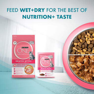 Wet Healthy Kitten nutrition and taste