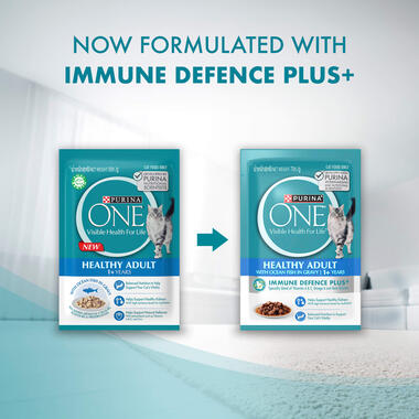 Wet Cat Healthy Adult Immune Defence Plus