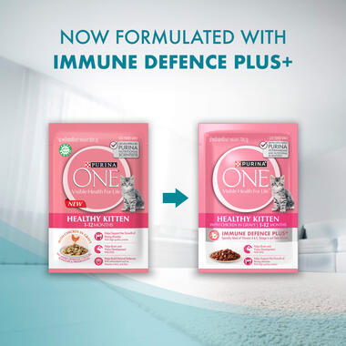 Wet Healthy Kitten immune defence plus