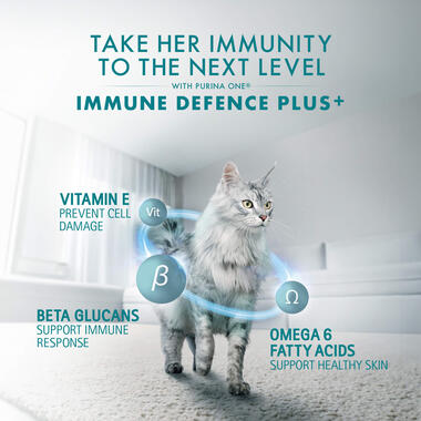 Wet Cat Indoor Advantage immunity to the next level