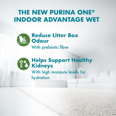 Wet Cat Indoor Advantage benefits