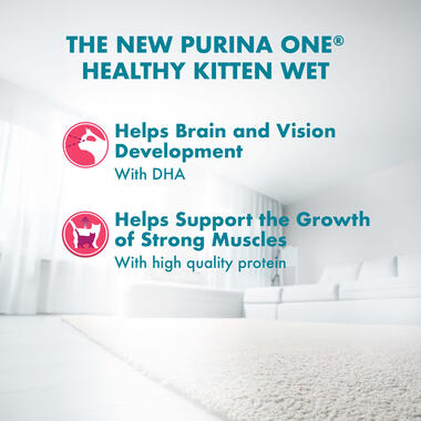 Wet Healthy Kitten benefits