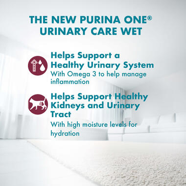 Wet Cat Urinary Care benefits
