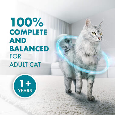 Wet Cat Indoor Advantage complete and balanced