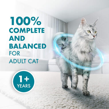 Wet Cat Urinary Care complete and balanced