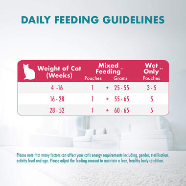 Wet Healthy Kitten ingredients and nutrition feeding guide
