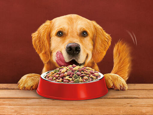 alpo dog food puppy