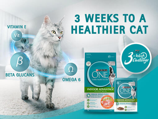 Purina ONE Banner 3 weeks to a healthier cat
