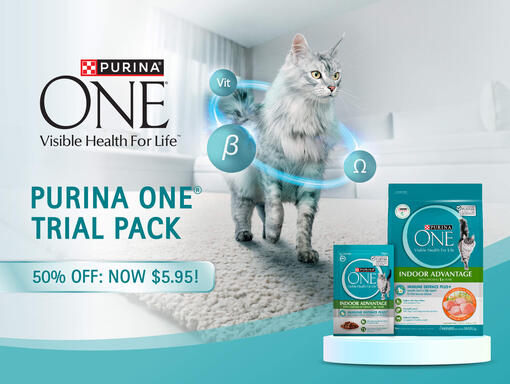 AOA_PU_SG_Purina ONE_Website Banner Campaign_4by3_240715_2